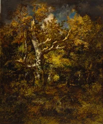 Wald von Fontainebleau, Herbst, 1871